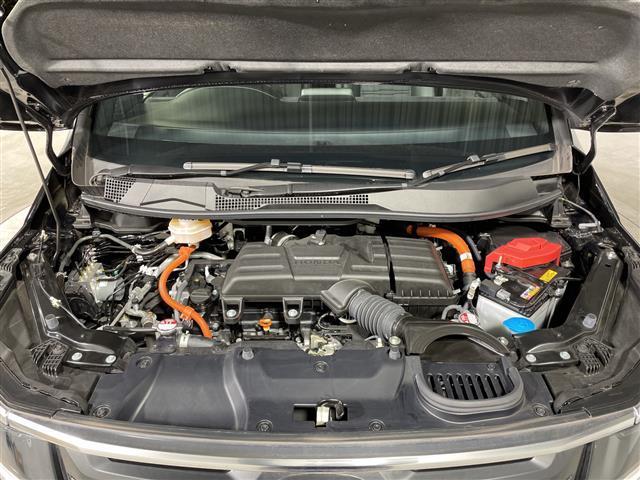 �����ŉJ�̓������E���N���A�ɂ��Ă����w�t�����g�E�C���h�E�����R�[�g�x�B�������ʂ��L�[�v���N���A�Ȏ��E�ň��S���T�|�[�g���Ă���܂��B