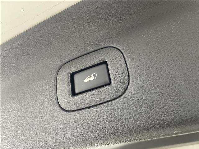 エルグランド 250ハイウェイスターSホワイトレザーアーバンクロム 純正ナビ 後席モニター 両側パワースライドドア パワーバックドア ホワイトレザーシート シートヒーター 助手席/2列目オットマン クルーズコントロール アラウンドビューモニター LEDヘッドライト(31枚目)