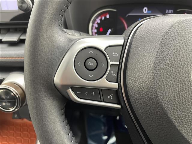 RAV4 アドベンチャー 純正9型DAナビ バックカメラ BSM アダプティブクルーズ クリアランスソナー トヨタセーフティセンス パワーシート ビルトインETC LEDヘッドランプ フォグ ルーフレール 純正19インチAW(4枚目)