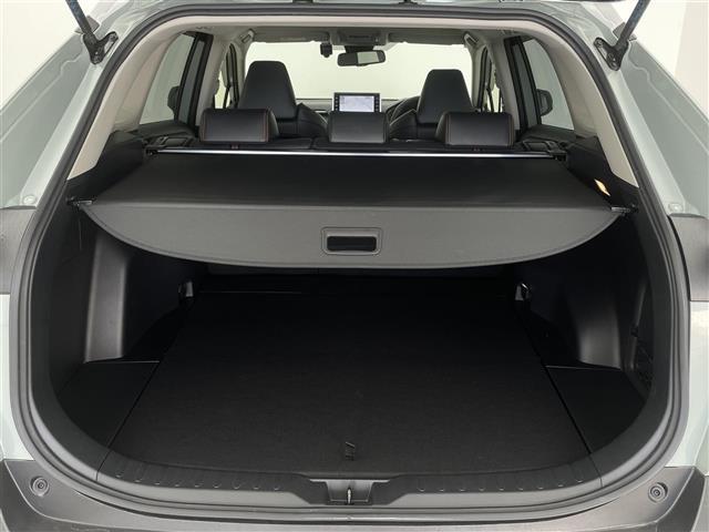 RAV4 アドベンチャー 純正9型DAナビ バックカメラ BSM アダプティブクルーズ クリアランスソナー トヨタセーフティセンス パワーシート ビルトインETC LEDヘッドランプ フォグ ルーフレール 純正19インチAW(22枚目)