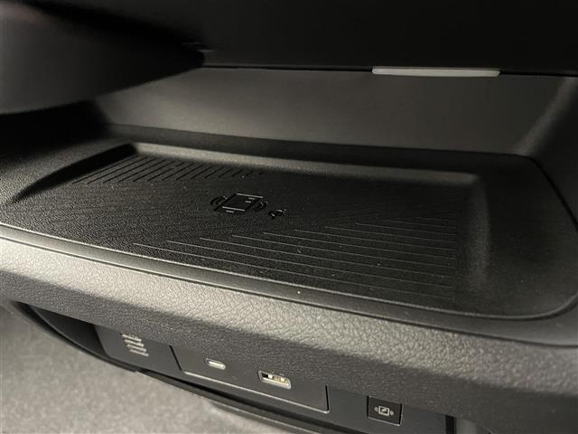 セレナ ｅ－パワー　ハイウェイスターＶ　登録済未使用車　メーカーナビ　後席モニター　プロパイロット　インテリジェントルームミラー　両側パワースライドドア　ドライブレコーダー機能　全周囲カメラ　ＥＴＣ２．０　スマートフォン連携　フルセグＴＶ（20枚目）