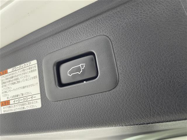 ヴェルファイア ２．５Ｚ　Ｇエディション　純正ナビ　後席モニター　ＪＢＬサウンド　パワーバックドア　両側パワースライドドア　プリクラッシュセーフティ　クルーズコントロール　ＨＤＭＩ入力端子　クリアランスソナー　駐車アシスト　ＥＴＣ　禁煙車（31枚目）
