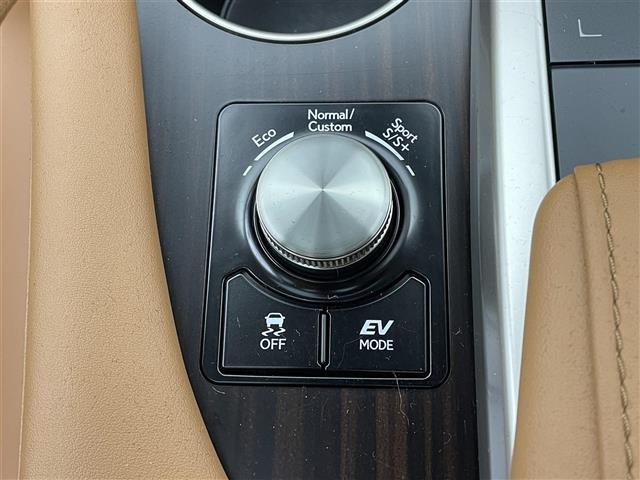 ＲＸ ＲＸ４５０ｈ　バージョンＬ　４ＷＤ　パノラマルーフ　全周囲カメラ　三眼ＬＥＤヘッド　ＢＳＭ　ＨＵＤ　１００Ｖ電源　後席電動格納　前後席シートヒーター　ステアリングヒーター　パワーバックドア　追従クルーズ　純正ＥＧスターター　禁煙（18枚目）