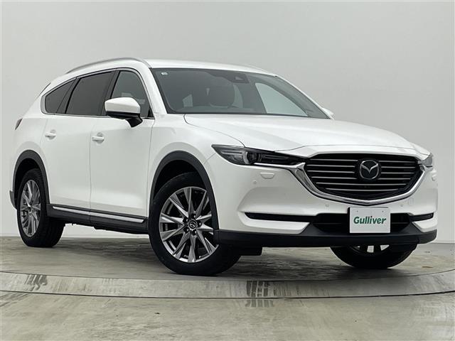 CX-8 XDプロアクティブ Sパッケージ 純正ナビ 全周囲カメラ 後席モニター BOSEサウンド 黒革シート パワーバックドア フルセグTV CD/DVDプレーヤー パワーシート シートヒーター BSM 17AW/スタッドレスタイヤ車載(33枚目)