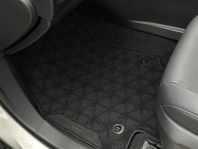 ���ŐV�i�r�i�t���Z�O�E�����Z�O�E�c�u�c�Đ��j�����ē��B�J���b�c�F���A�E�A���p�C���E�C�N���v�X�̃i�r���戵���Ă���o�b�N�J�����i�o�b�N���j�^�[�j��ȃ��j�^�[�i�t���b�v�_�E�����j�^�[�j�̎�t���\�ł��B