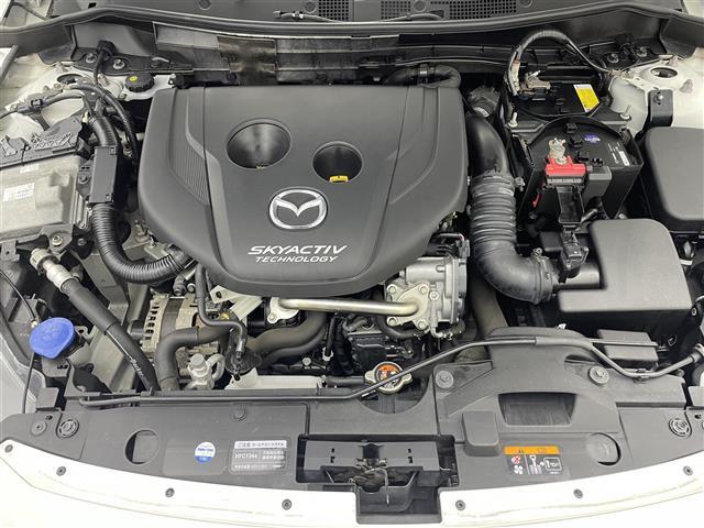 �����̓x�̓K���o�[�̍݌ɂ����������܂��āA�L��������܂��B�K���o�[�O���[�v�̍݌ɂ�̔����Ă���܂��I