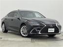 ＥＳ３００ｈ　バージョンＬ　サンルーフ　純正ナビ　パノラミックビューモニター　デジタルインナーミラー　デジタルアウターミラー　ＨＵＤ　ＢＳＭ　パワートランク　ソリスホワイト内装　三眼ＬＥＤヘッドランプ　１００Ｖ電源　禁煙車（34枚目）