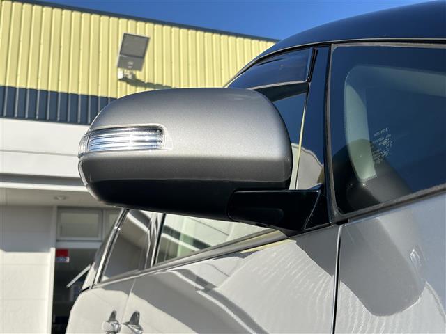 エスティマ アエラス ☆純正HDDナビ☆フルセグテレビ☆バック、サイドカメラ☆BT/CD/DVD/VTR/USB/SD☆クルーズコントロール☆両側パワースライドドア☆後席フリップダウンモニター☆ETC☆ドアバイザー(11枚目)