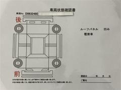 �ץꥦ�� �ӥġ���󥰥��쥯����󡡥졼�����֥졼�����ݡ��ȡ��ե륪���ȥ������󡡥ǥ奢�륨���Хå����Хå���˥��� 3000803A20251227T001 6