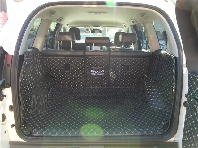 ランドクルーザープラド ＴＸ　Ｌパッケージ　リアカメラ　１オ－ナ－　スマートキ　盗難防止　キーレスエントリー　ＥＴＣ装備　ＤＶＤ再生可　寒冷地　エアコン　ＬＥＤランプ　レザー　アルミホイール　パートタイム４ＷＤ　横滑り防止システム　フルＴＶ（22枚目）