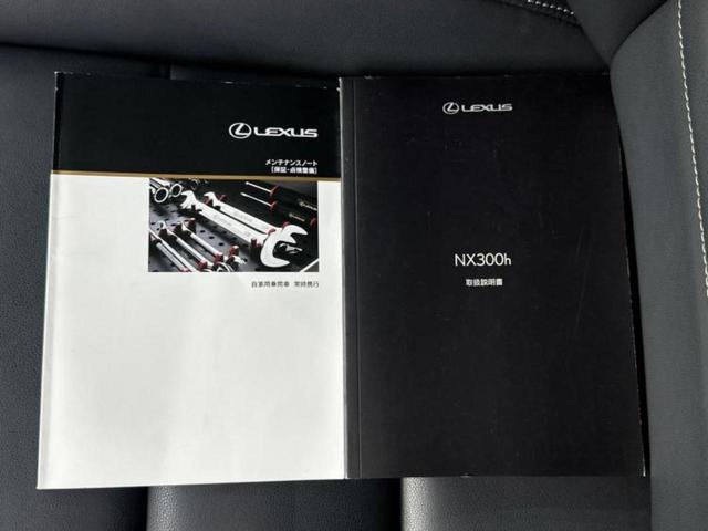 NX NX300h Iパッケージ 新品タイヤ/純正 HDDナビ/プリクラッシュセーフティ/シートヒーター 前席/パノラミックビューモニター/車線逸脱防止支援システム/シート 合皮/パーキングアシスト バックガイド 衝突被害軽減システム(33枚目)