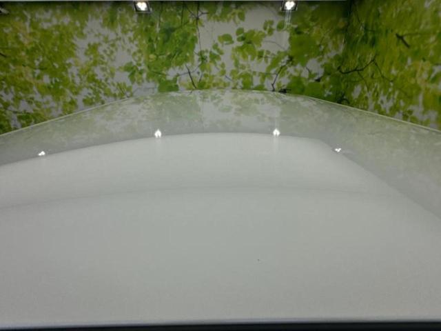 アトレー ＲＳ　新品タイヤ／保証書／スマートアシスト（トヨタ・ダイハツ）／両側電動スライドドア／ヘッドランプ　ＬＥＤ／ＵＳＢジャック／ＥＴＣ／ＥＢＤ付ＡＢＳ／横滑り防止装置／アイドリングストップ　衝突被害軽減システム（46枚目）