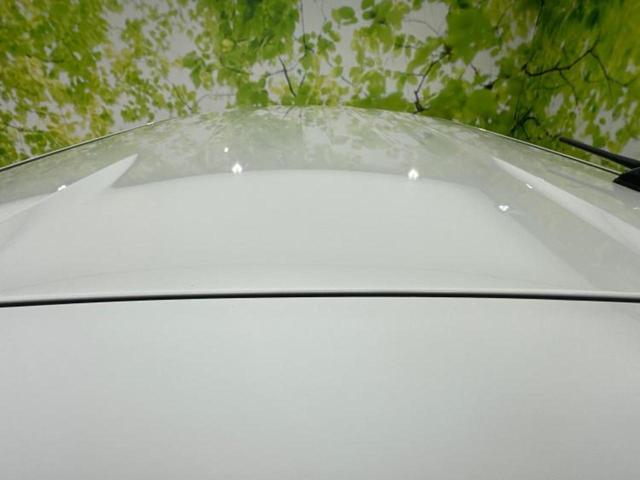 ルークス X 社外 SDナビ/エマージェンシーブレーキ/電動スライドドア/アラウンドビューモニター/車線逸脱防止支援システム/プロパイロット/パーキングアシスト バックガイド/ヘッドランプ LED 全周囲カメラ(46枚目)