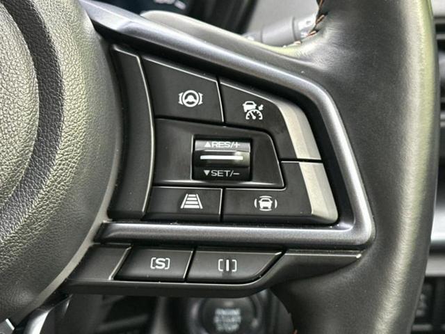 レヴォーグ レイバック 4WDリミテッドEX 保証書/純正 11.6インチ メモリーナビ/アイサイト/シートヒーター 前席/パノラミックビューモニター/車線逸脱防止支援システム/シート フルレザー/電動バックドア/ドライブレコーダー 純正 4WD(30枚目)