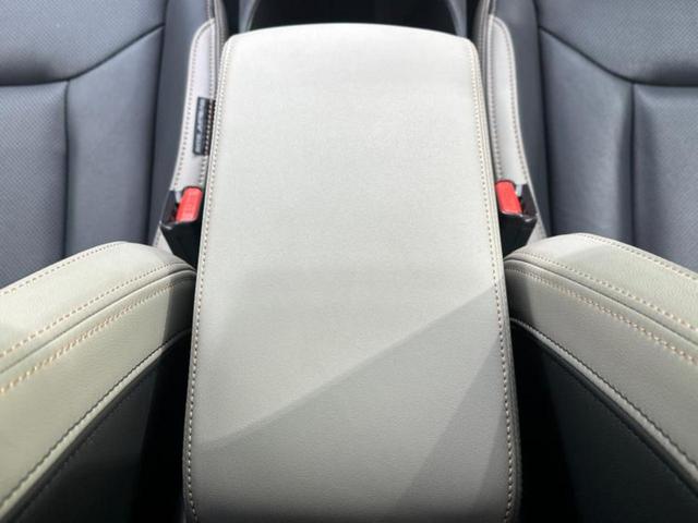 レヴォーグ レイバック 4WDリミテッドEX 保証書/純正 11.6インチ メモリーナビ/アイサイト/シートヒーター 前席/パノラミックビューモニター/車線逸脱防止支援システム/シート フルレザー/電動バックドア/ドライブレコーダー 純正 4WD(32枚目)