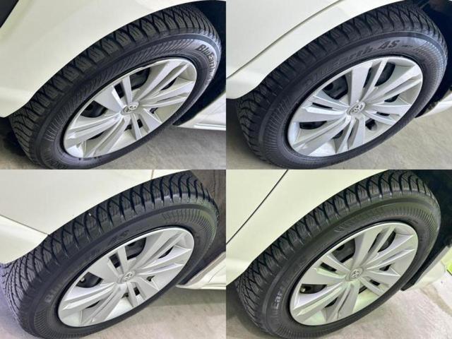 �u���̎Ԃ̎ʐ^�������ƌ������v�u��Ԃ��C�ɂȂ�v�u���̑����͂��Ă���H�v�ǂ�ȏ����ȋ^��ł����C�y�ɂ��₢���킹���������I