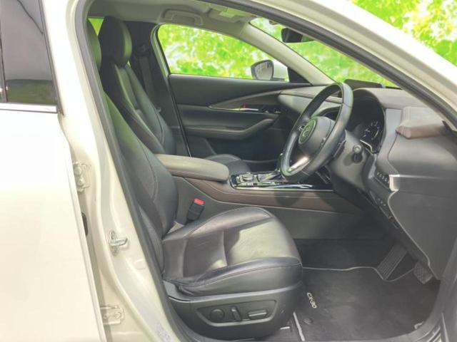 �u���̎Ԃ̎ʐ^�������ƌ������v�u��Ԃ��C�ɂȂ�v�u���̑����͂��Ă���H�v�ǂ�ȏ����ȋ^��ł����C�y�ɂ��₢���킹���������I