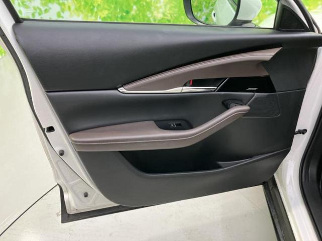 �u���̎Ԃ̎ʐ^�������ƌ������v�u��Ԃ��C�ɂȂ�v�u���̑����͂��Ă���H�v�ǂ�ȏ����ȋ^��ł����C�y�ɂ��₢���킹���������I