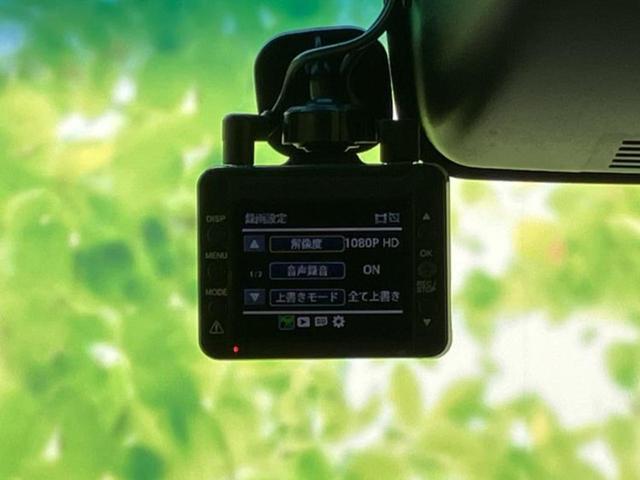 �v�d�b�`�q�r�̓W����ł͎��ۂɌ��āA�G���Ă��Ԃ����I�т��������܂��I�m���̖L�x�ȉc�ƃX�^�b�t���l�X�ȃJ�[���C�t������Ă������܂��I