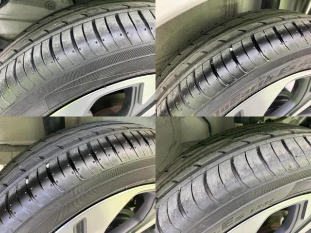 �u���̎Ԃ̎ʐ^�������ƌ������v�u��Ԃ��C�ɂȂ�v�u���̑����͂��Ă���H�v�ǂ�ȏ����ȋ^��ł����C�y�ɂ��₢���킹���������I