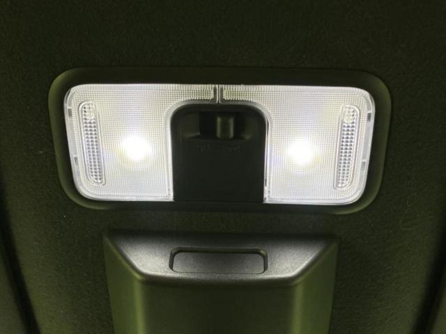 �u���̎Ԃ̎ʐ^�������ƌ������v�u��Ԃ��C�ɂȂ�v�u���̑����͂��Ă���H�v�ǂ�ȏ����ȋ^��ł����C�y�ɂ��₢���킹���������I