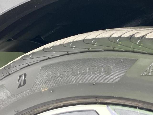 �u���̎Ԃ̎ʐ^�������ƌ������v�u��Ԃ��C�ɂȂ�v�u���̑����͂��Ă���H�v�ǂ�ȏ����ȋ^��ł����C�y�ɂ��₢���킹���������I