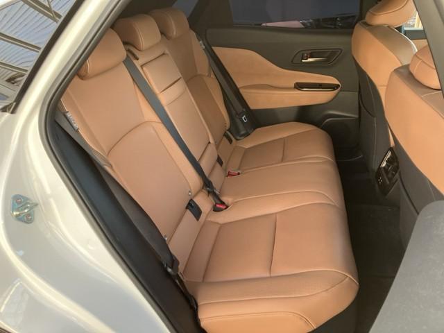 �����L�X�̍���S�n�ǍD�A��Ȃł���B�@�h���C�r���O���A�����ԓ����̐��ŋ���̂��đ�ςł���ˁB�@���������Ă�����̂�����A�����b�N�X�ł���V�[�g�������ł���ˁB