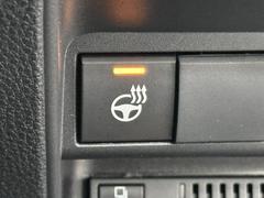 �߾�˽������륹�ƥ���󥰥ҡ������Ǥ� 6