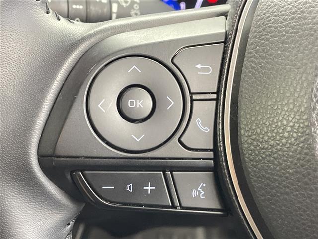 カローラクロス ハイブリッド　Ｚ　禁煙　全方位モニター　ガラスルーフ　レーダークルーズコントロール　シートヒーター　ＥＴＣ　ハーフレザーシート　衝突軽減ブレーキ　レーンキープアシスト　オートハイビーム　ブラインドスポットモニター（24枚目）