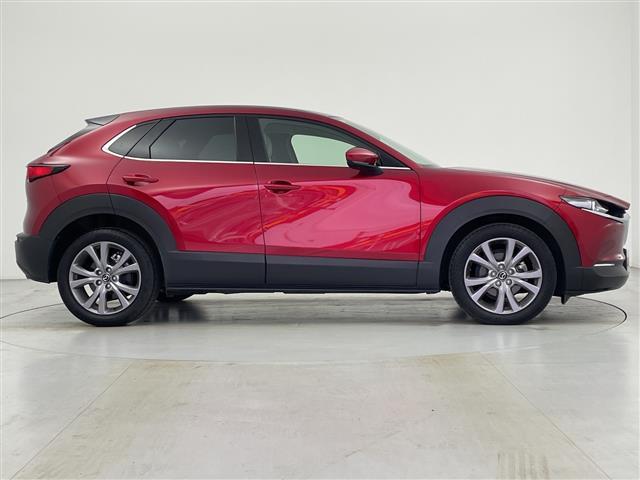 ���k���[���ɂ̓L�b�Y���[�����������Ă��܂������q�l�A��ł��������Ƃ��Ԃ����I�т��������܂��I