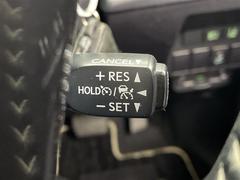 ����Ǽ�֤��ǽ�Ǥ�������Ÿ���Υ���С��ͥåȥ���ǡ��̳�ƻ���鲭��ޤǤɤ��Ǥ⤴Ǽ�ֲ�ǽ���Ǥ����ܺ٤Ϥ����ڤˤ��䤤��碌��������������ξ�����񤬤�����ޤ��� 7