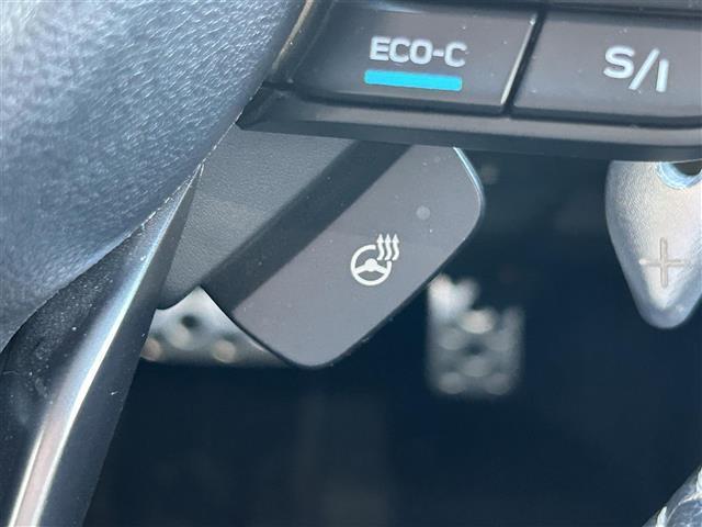 フォレスター アドバンス アイサイト 衝突軽減ブレーキ レーダークルーズコントロール 全方位カメラ 純正ナビ Bluetooth ハーフレザーシート 全席シートヒーター パワーシート パドルシフト デジタルインナーミラー(18枚目)