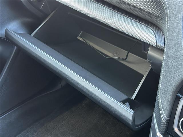 フォレスター アドバンス アイサイト 衝突軽減ブレーキ レーダークルーズコントロール 全方位カメラ 純正ナビ Bluetooth ハーフレザーシート 全席シートヒーター パワーシート パドルシフト デジタルインナーミラー(31枚目)