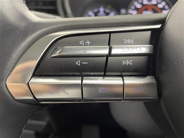 CX-30 XD Lパッケージ スマートシティーブレーキ/レーダークルーズコントロール/純正ナビ/CD/DVD/Bluetooth/フルセグ/全方位カメラ/D席パワーシート/D/N席シートヒーター/ステアリングヒーター/合皮シート(14枚目)