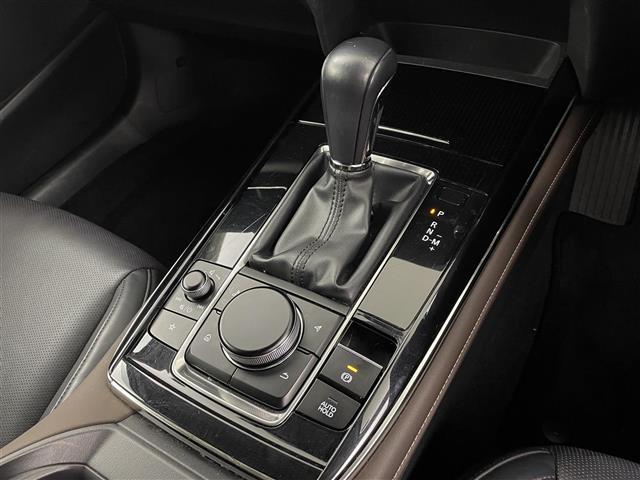 CX-30 XD Lパッケージ スマートシティーブレーキ/レーダークルーズコントロール/純正ナビ/CD/DVD/Bluetooth/フルセグ/全方位カメラ/D席パワーシート/D/N席シートヒーター/ステアリングヒーター/合皮シート(17枚目)