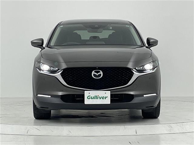 CX-30 XD Lパッケージ スマートシティーブレーキ/レーダークルーズコントロール/純正ナビ/CD/DVD/Bluetooth/フルセグ/全方位カメラ/D席パワーシート/D/N席シートヒーター/ステアリングヒーター/合皮シート(29枚目)