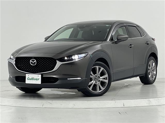 CX-30 XD Lパッケージ スマートシティーブレーキ/レーダークルーズコントロール/純正ナビ/CD/DVD/Bluetooth/フルセグ/全方位カメラ/D席パワーシート/D/N席シートヒーター/ステアリングヒーター/合皮シート(31枚目)