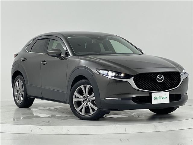 CX-30 XD Lパッケージ スマートシティーブレーキ/レーダークルーズコントロール/純正ナビ/CD/DVD/Bluetooth/フルセグ/全方位カメラ/D席パワーシート/D/N席シートヒーター/ステアリングヒーター/合皮シート(34枚目)