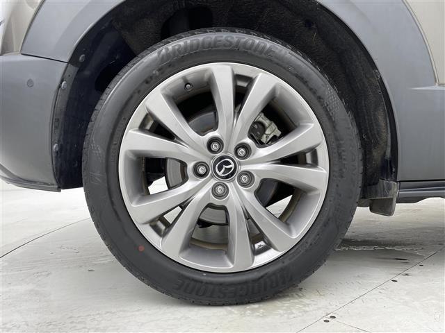 CX-30 XD Lパッケージ スマートシティーブレーキ/レーダークルーズコントロール/純正ナビ/CD/DVD/Bluetooth/フルセグ/全方位カメラ/D席パワーシート/D/N席シートヒーター/ステアリングヒーター/合皮シート(38枚目)