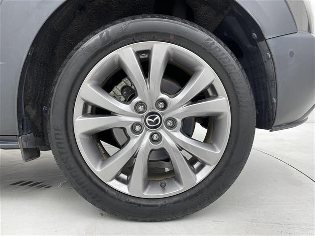 CX-30 XD Lパッケージ スマートシティーブレーキ/レーダークルーズコントロール/純正ナビ/CD/DVD/Bluetooth/フルセグ/全方位カメラ/D席パワーシート/D/N席シートヒーター/ステアリングヒーター/合皮シート(39枚目)