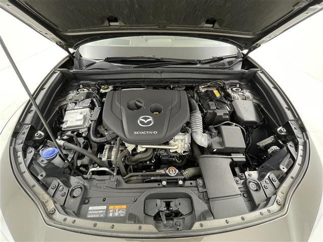 CX-30 XD Lパッケージ スマートシティーブレーキ/レーダークルーズコントロール/純正ナビ/CD/DVD/Bluetooth/フルセグ/全方位カメラ/D席パワーシート/D/N席シートヒーター/ステアリングヒーター/合皮シート(40枚目)