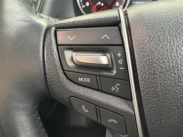 アルファード 2.5S Cパッケージ 福祉車両 チェアキャブ パワーバックドア 純正SDナビ CD/DVD/BT/フルセグ バックカメラ ビルトインETC レーダークルーズコントロール レーンキープアシスト パワーシート シートヒーター(12枚目)