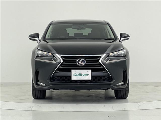 NX NX200t Iパッケージ 衝突軽減ブレーキ 純正ナビ Bluetooth フルセグ CD DVD バックカメラ サイドカメラ パワーバックドア ポジションメモリー付パワーシート シートヒーター パドルシフト LEDオートライト(69枚目)