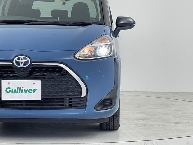 ���w�b�h���C�g�E�z�C�[���E�t�����g�K���X�ȂǐF�X�ȕ����̃R�[�e�B���O�����p�ӂ��Ă���܂��I