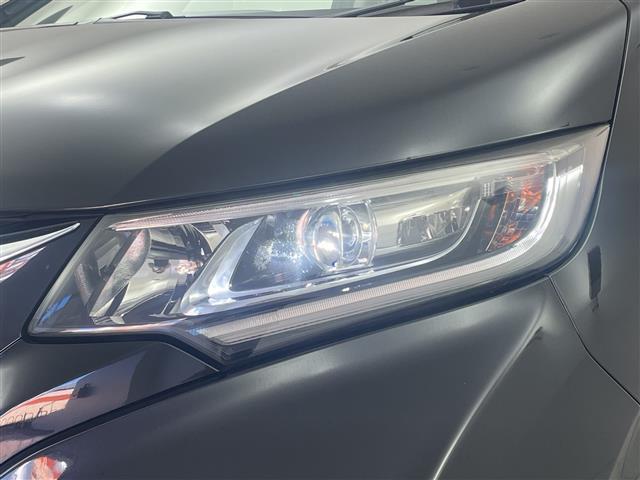 ���w�b�h���C�g�E�z�C�[���E�t�����g�K���X�ȂǐF�X�ȕ����̃R�[�e�B���O�����p�ӂ��Ă���܂��I