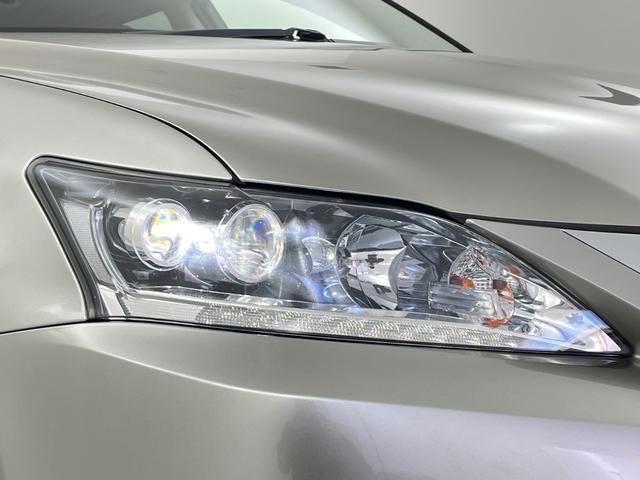 ������������ƍ����������\�������I�u���A���K���X�R�[�g�v����舵���Ă���܂��I