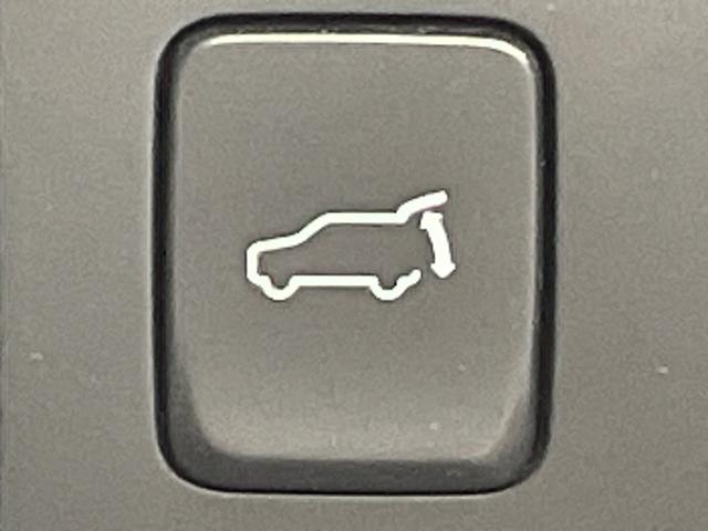 �y�p���[�o�b�N�h�A�^�d�����A�Q�[�g�z�ו����������Ԃł����A�Q�[�g�̊J���\�ł��B������������A�E�g�h�A�̍ۂɖ𗧂��܂��ˁB