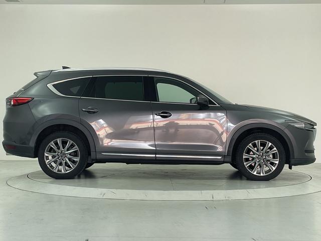 �����S�̑S�ԕۏؕt���I�i�������ۏ؁A���Y�Ԃ͔[�Ԍ�R�����B�A���Ԃ͔[�Ԍ�P�����̕ۏ؊��ԂƂȂ�܂��B�j���̑������ۏ؁i�L���j�����p�ӂ��Ă���܂��I�������ۏ؂�t�тł���ԗ���K�p���͏������������܂��B