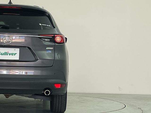 �������������������C�ɓ���̂P�����������Ƃ�����߂Ăق����Ȃ��I�����ł������[�ԏ���܂��B