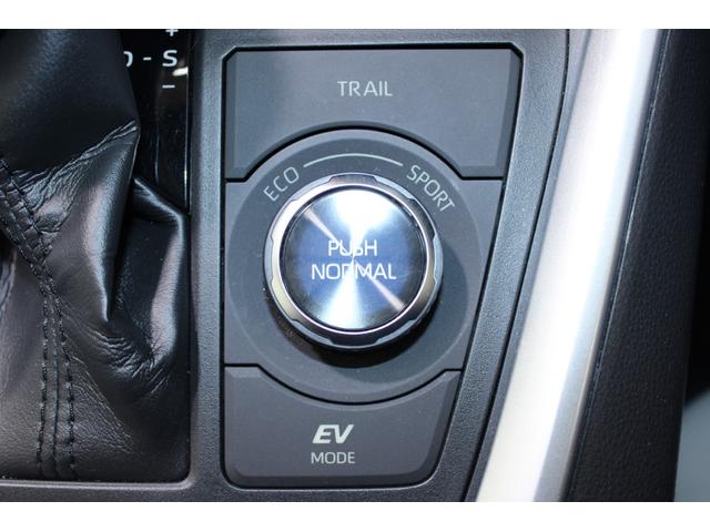 ＲＡＶ４ ハイブリッドＧ　モデリスタエアロ／純正９インチナビ／地デジ／バックカメラ／温熱白革シート／ステアリングヒーター／電動リアゲート／レーダークルーズコントロール／デジタルインナーミラー／ＥＴＣ２．０／パワーシート／ＬＥＤ（65枚目）